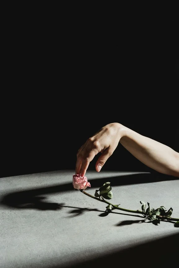 Text:  Nadia Tronchoni