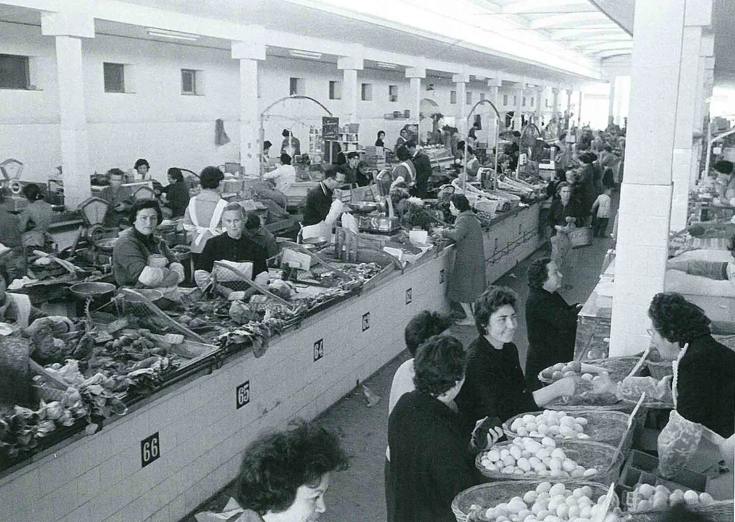50e.jpg