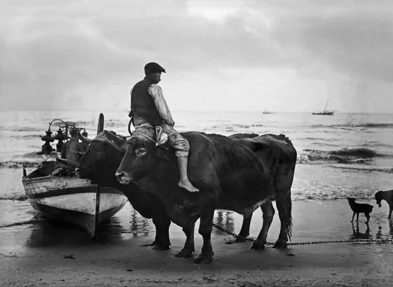 valencia-en-blanco-y-negro-una-ciudad-vivida.jpg