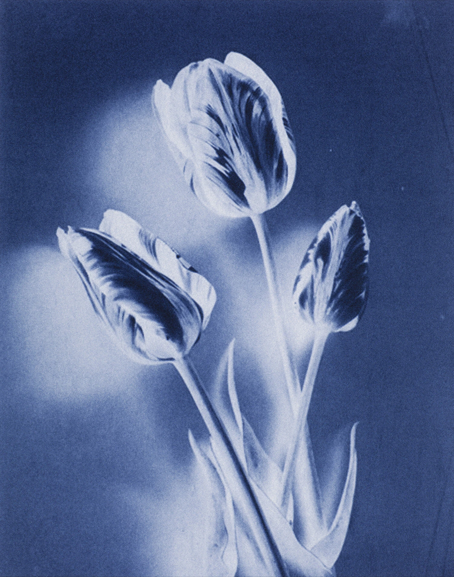 10 Thomas Ruff - Neg stil_04.jpg