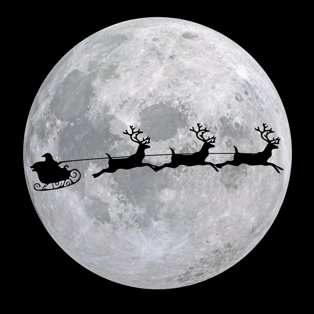 paulagfurio_guia navidad desfici-19.jpg